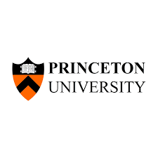 Princeton University Icon