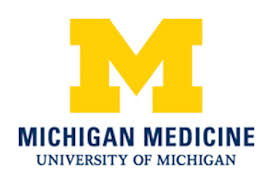 Michigan University icon